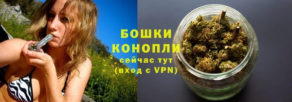 ALPHA PVP Бородино