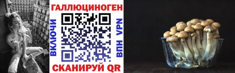 гидра   Донской  Галлюциногенные грибы мицелий 